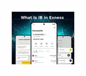 What Is IB in Exness?什么是 IB 在，? 
