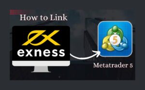 How to Link Exness Account with MetaTrader 5如何链接，帐户交易5 