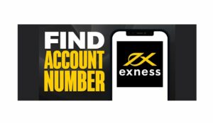 What Is an Exness Account Number and Where to Find It什么是，帐户号码以及在哪里可以找到它 