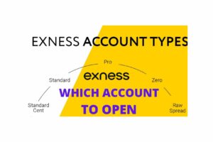 Which Account Type Is Best in Exness哪个帐户类型是最好的， 
