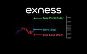 How to Use Stop Loss Orders on Exness Trading Platform如何停止使用损失的订单，交易平台 